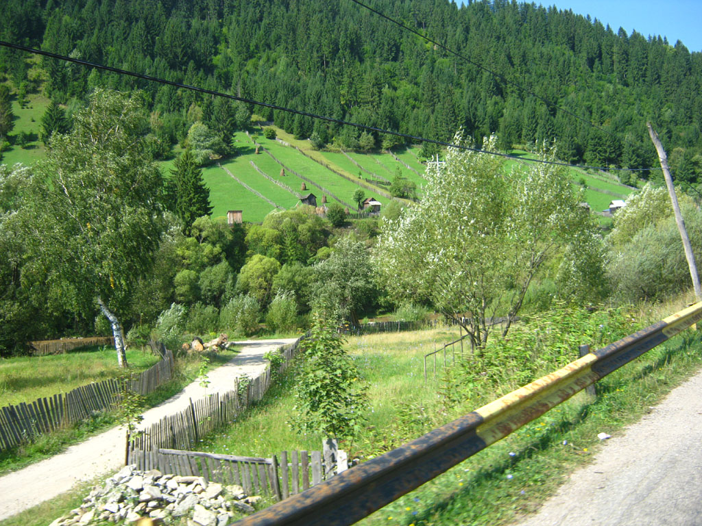 RO2011_07_113