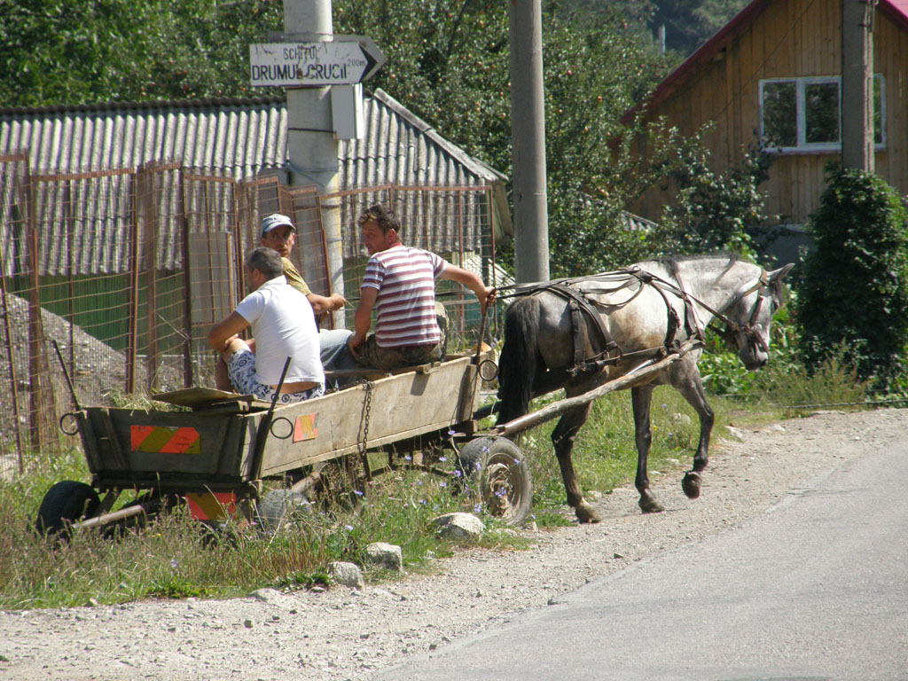 RO2011_07_148