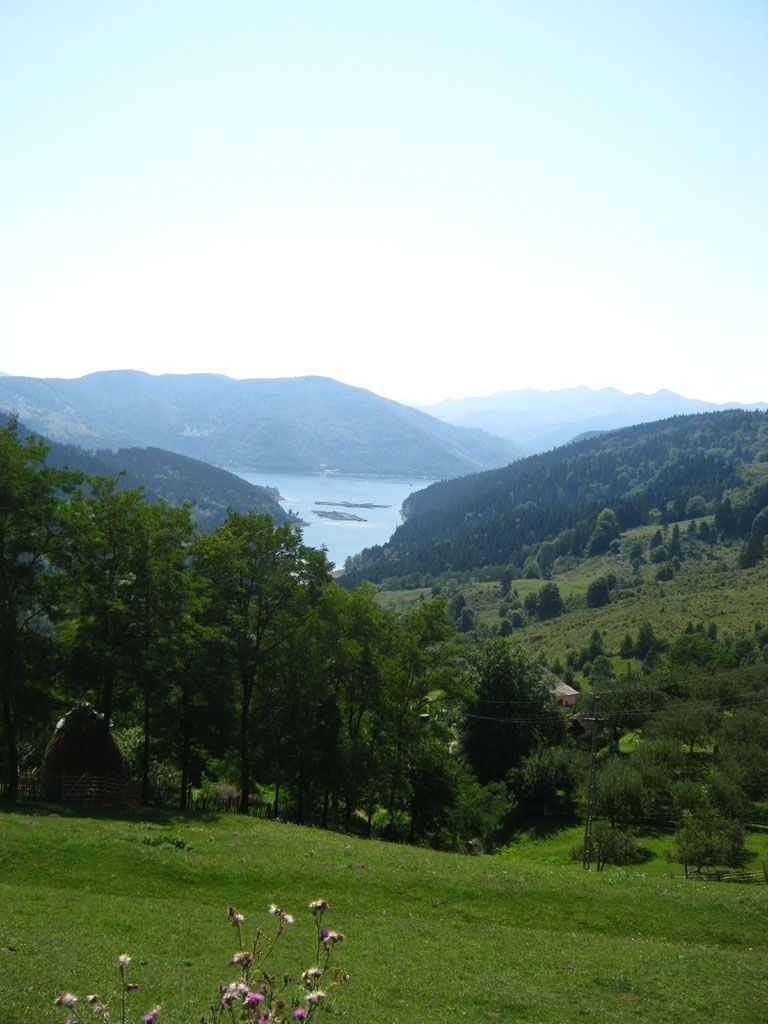 RO2011_07_199