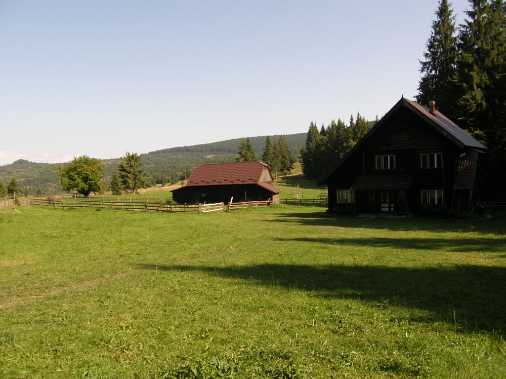RO2011_07_318