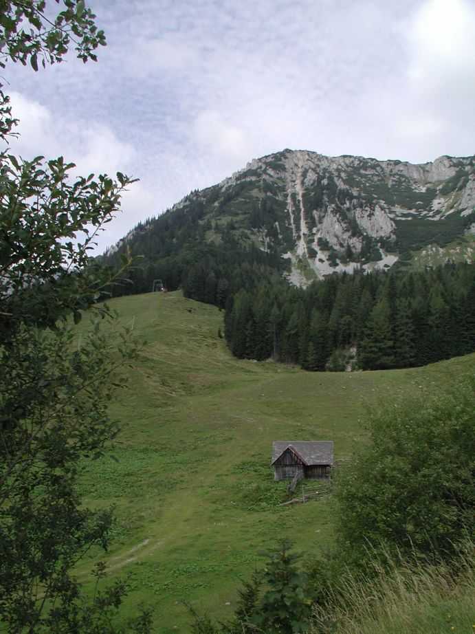 P8191404