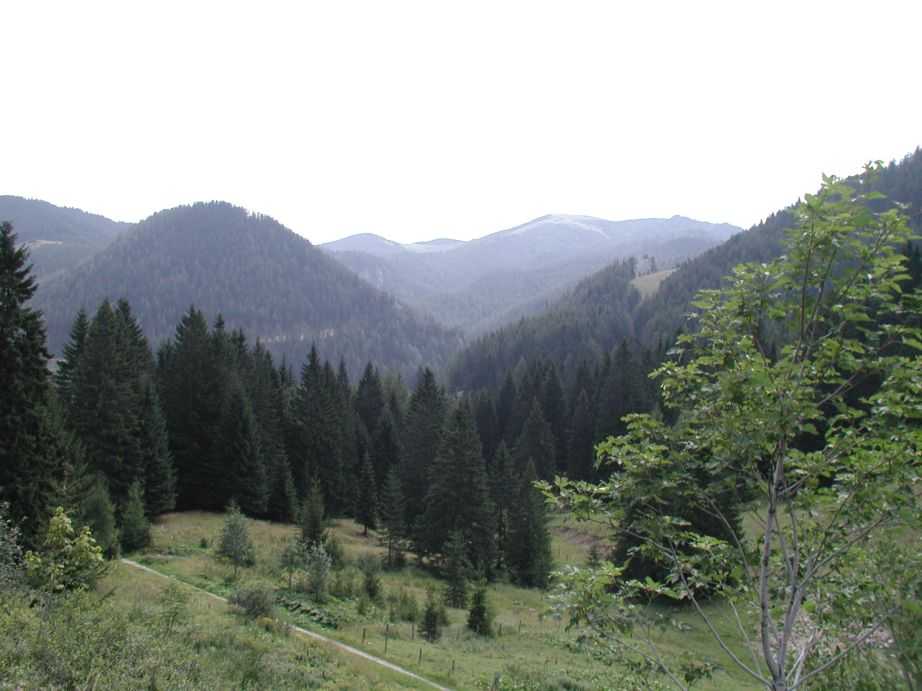 P8191406