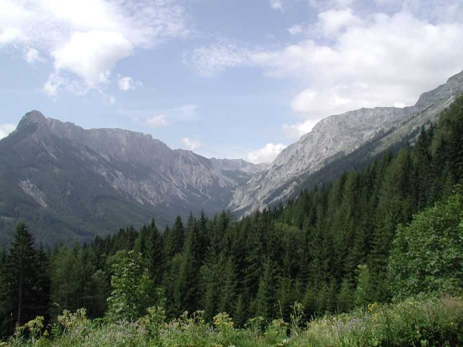 P8191407
