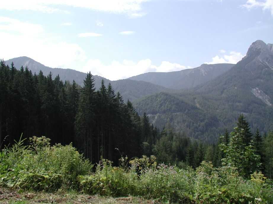 P8191409