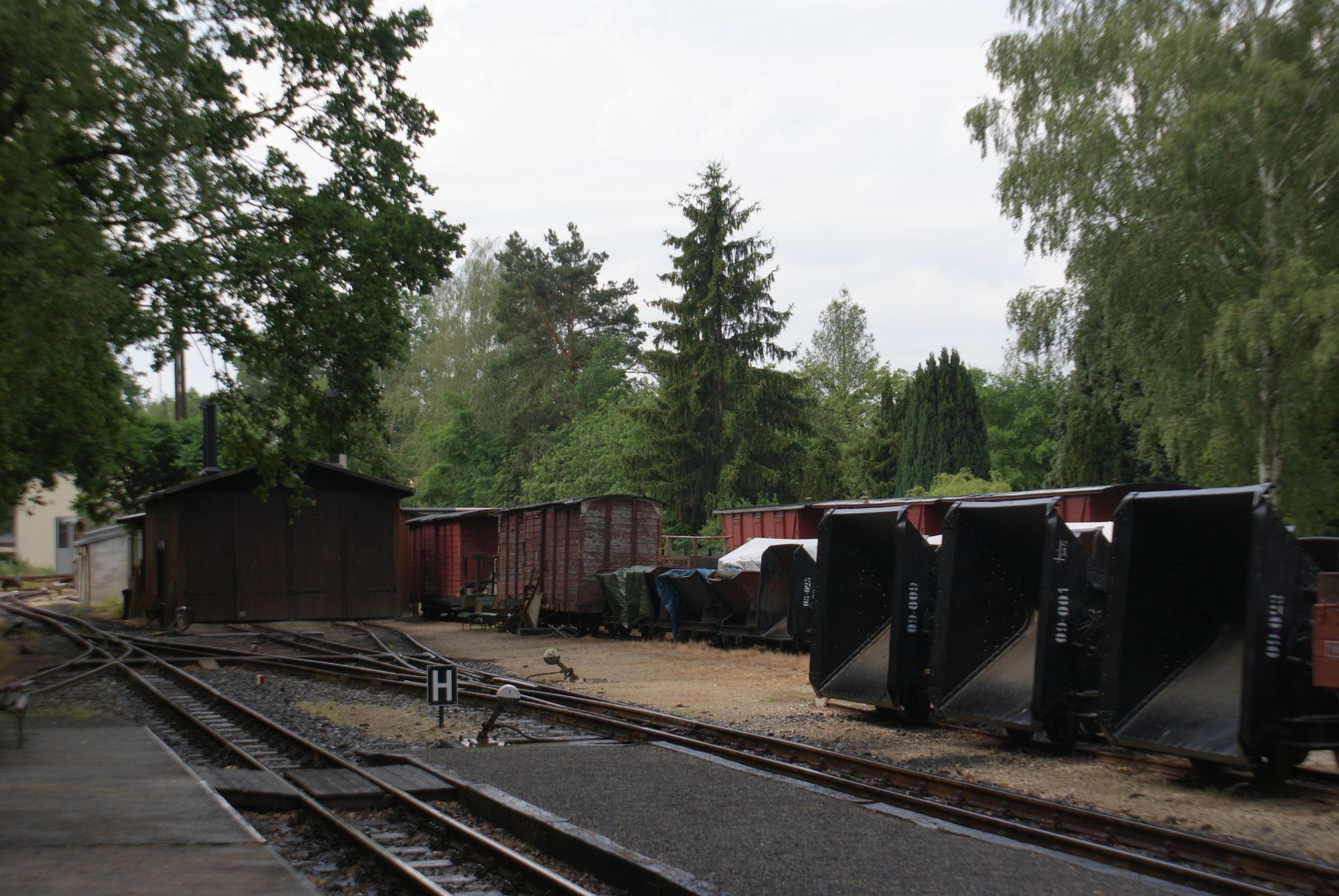 002 Waldeisenbahn Muskau, WeissWasser/Běla Woda