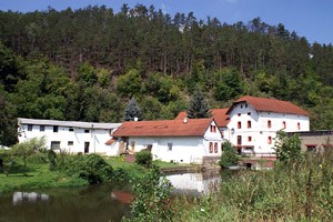 Čechův mlýn, Šlovice